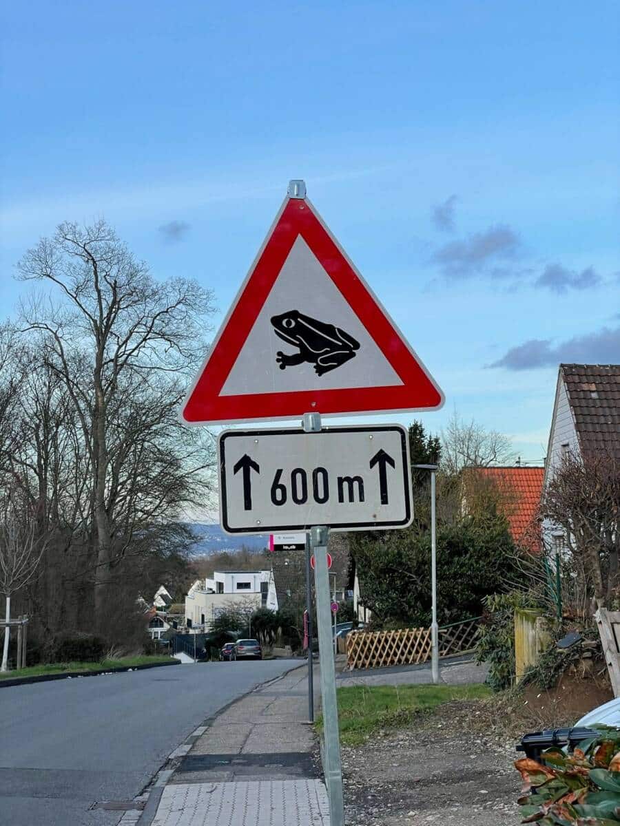 Krötenwanderung