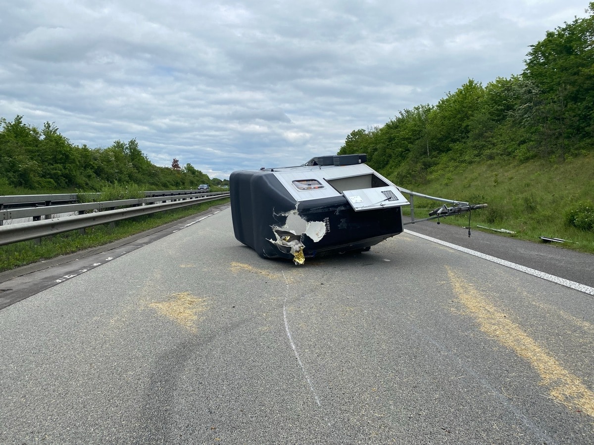 Pferdeanhänger verunglückt auf A63