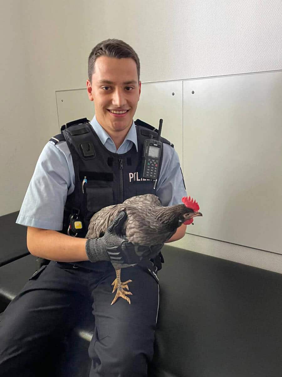 Gefiederter Ausreißer