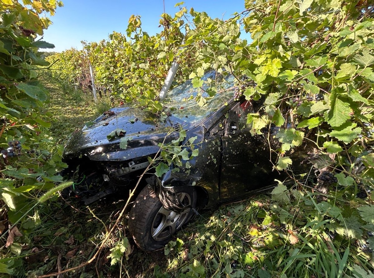 Kirrweiler Wildunfall