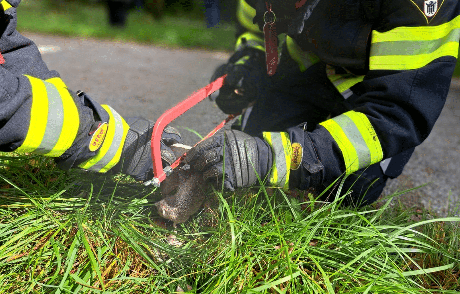 Mรผnchen Feuerwehr