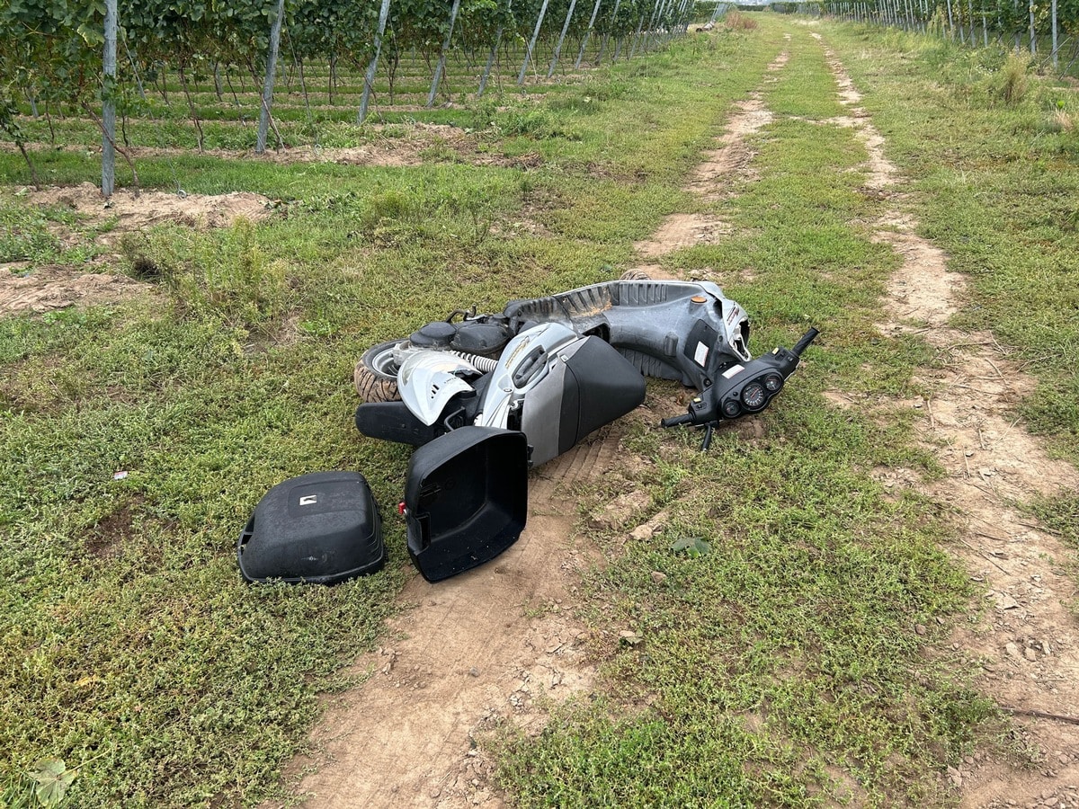 herrenloser Roller Weisenheim