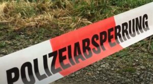 Rind getötet – Kriminalpolizei nimmt Ermittlungen auf