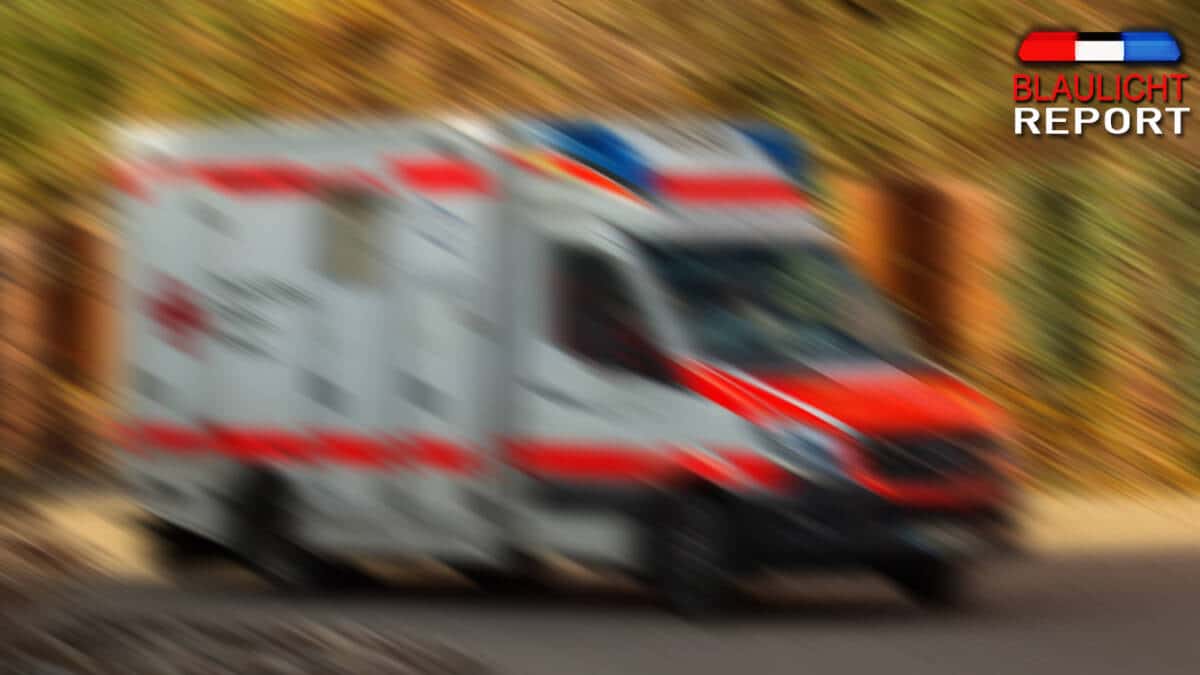 rettungswagen Schulbus