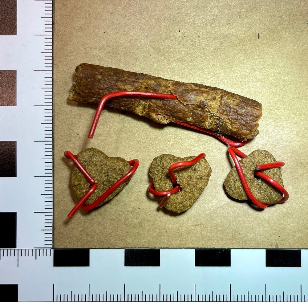Gefährliche Hundeköder im Bereich Koblenz-Metternich