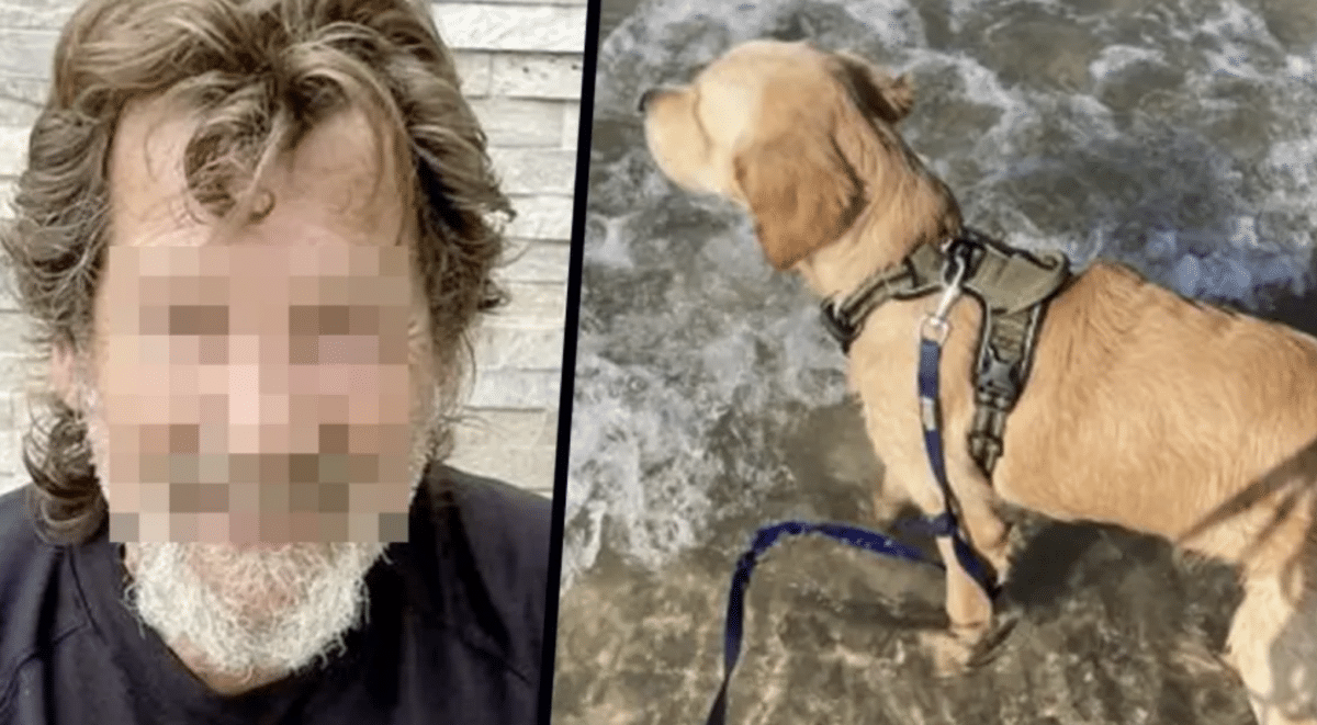 Vermisster Nrw Hund