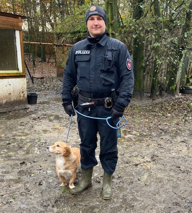 Hunde Polizei