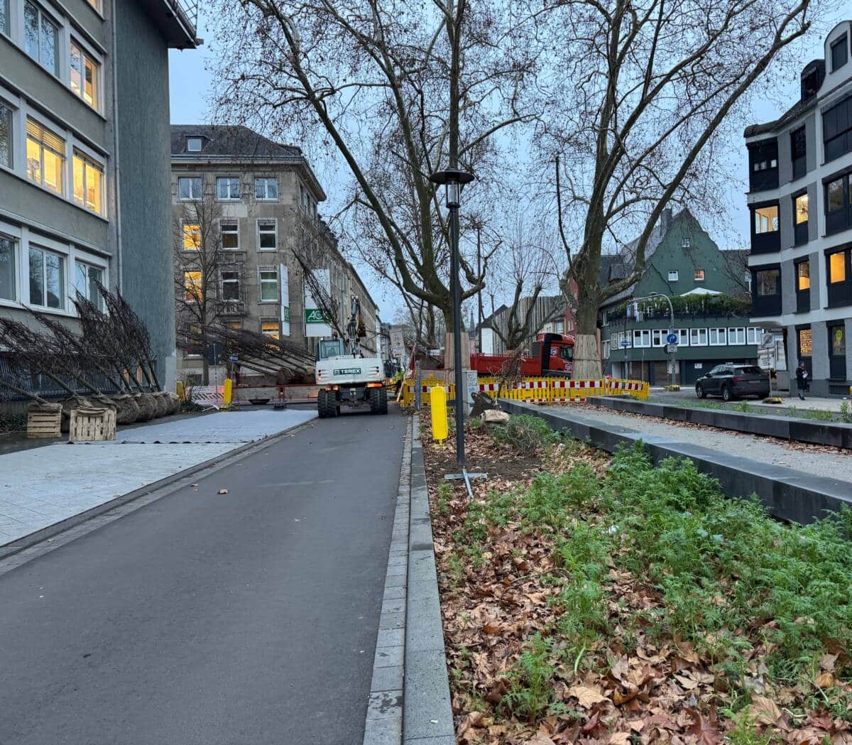 Neue Bäume Südallee