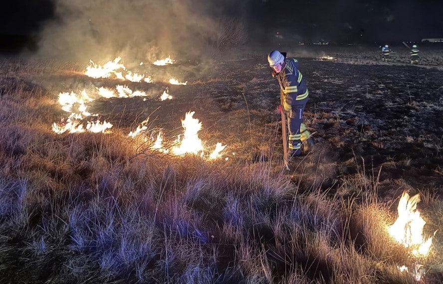 Brand panzerwiese