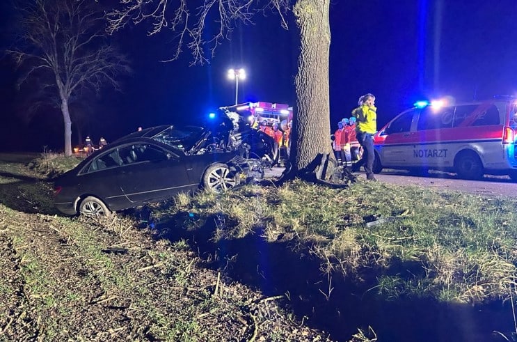 Mercedes brallt gegen Baum