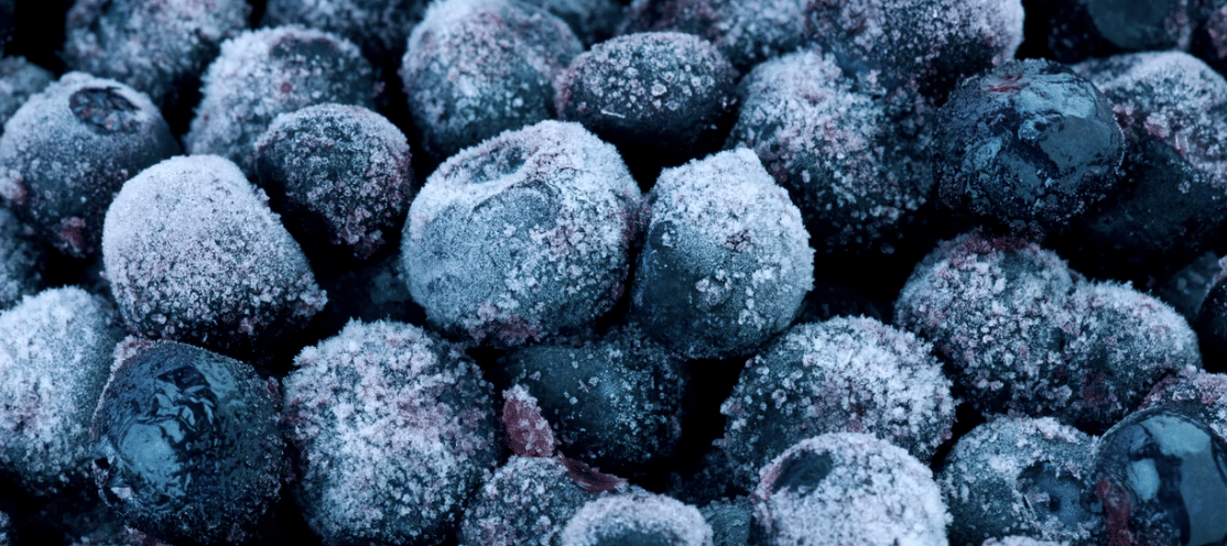 TK Rückruf Heidelbeeren