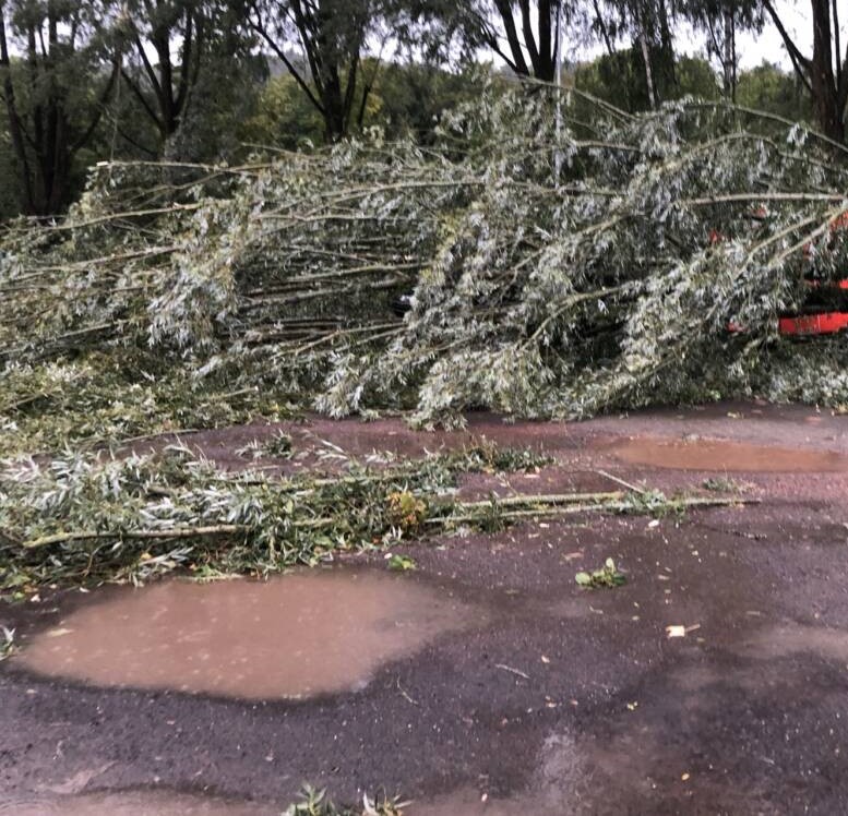 Unwetter Sturm