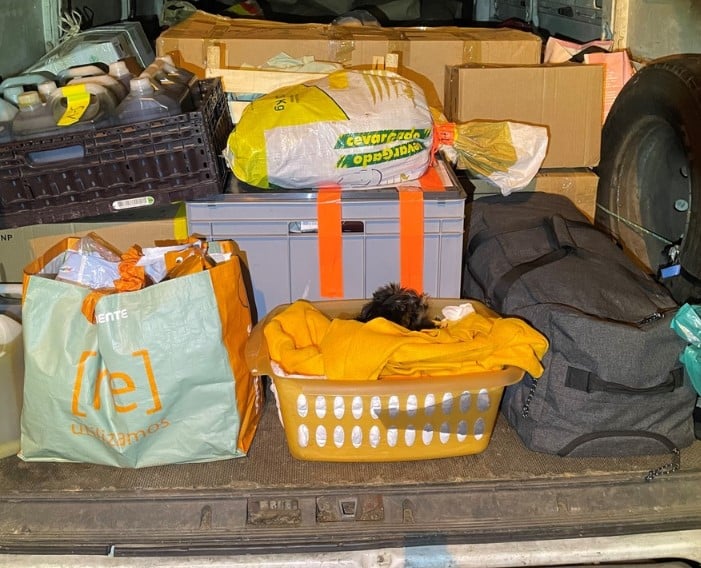 Hundewelpen vom Zoll  entdeckt