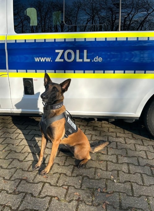 Zollhund