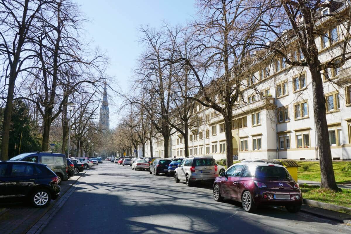 Südallee_Baumschnitt