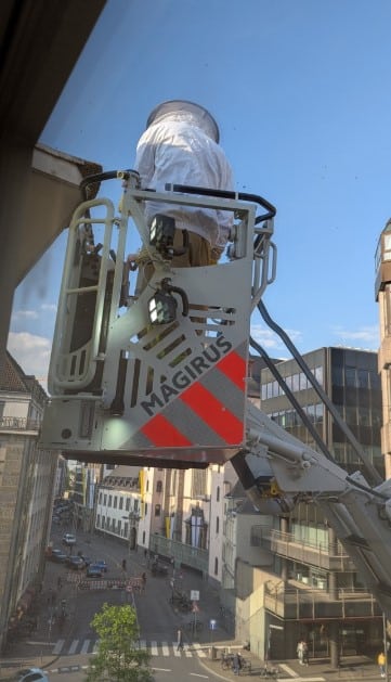 Bienenvolk Köln