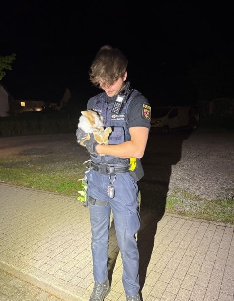 Pirmasens Kaninchen gerettet