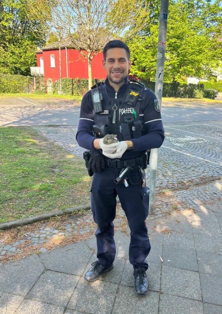 Kanninchen Bochum