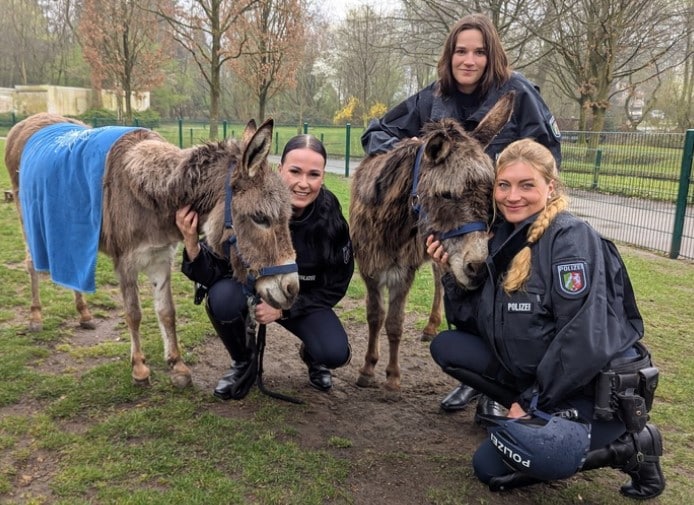 esel Polizei Bochum