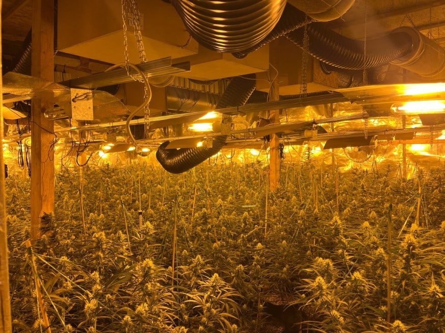 Cannabis Altena
