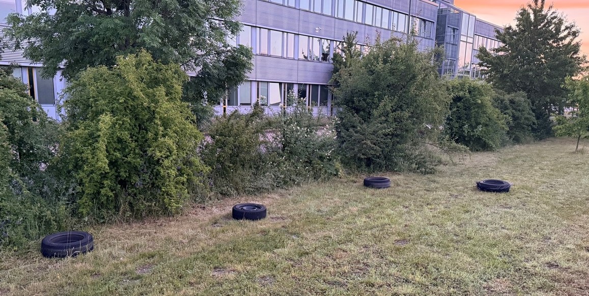 Duisburg Poser Szene