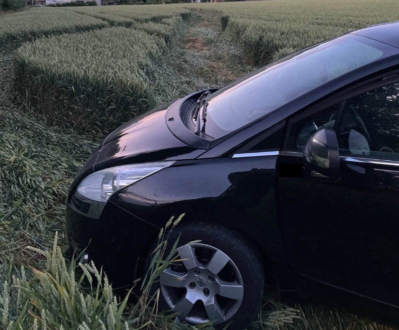 Fluchtversuch im Feld