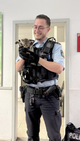 Katzenkinder