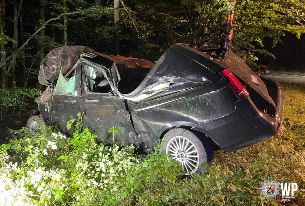 Mercedes Vito nach Wildunfall beschädigt