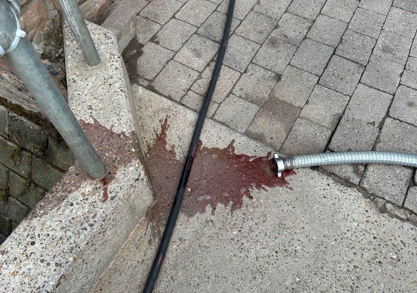wein entsorgt RLP Edesheim