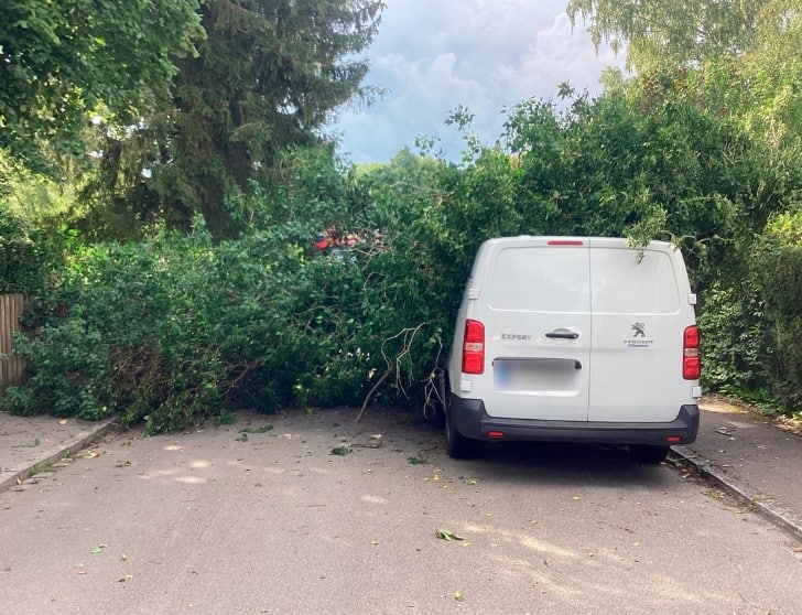 Feuerwehr Baum auf Auto
