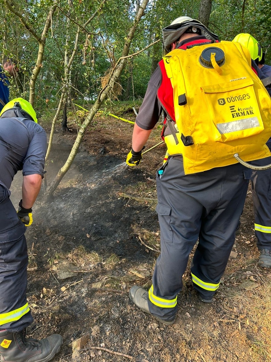 Feuer im Nationalpark