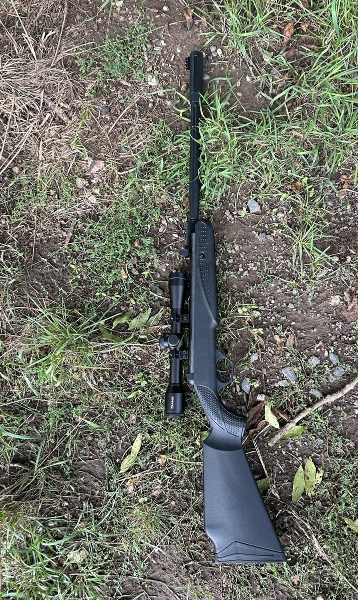 Mann schießt auf Nilgänse