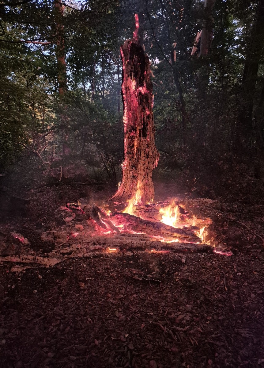 Feuerwehr-Einsätze am Montag