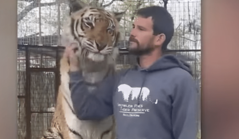 Tiger attackiert Pfleger, Growler Pines, Oklahoma, Tigerangriff, Hugo, Tierpfleger, Ryan Easley, Tiger Preserve, Wildtiere, Sicherheit