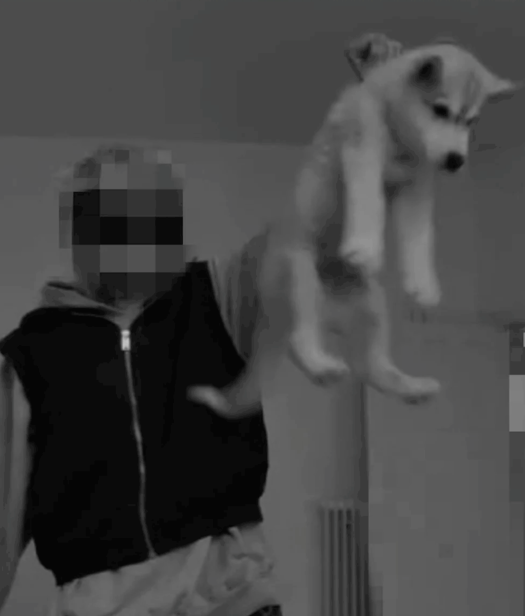 LKA befreit Husky Welpen