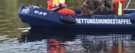 Kinderleiche bei Güstrow gefunden