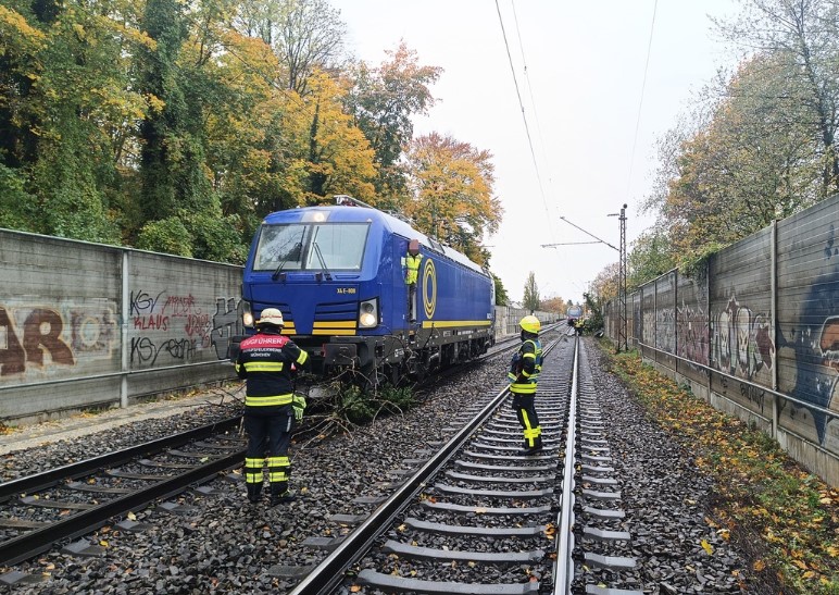 Regionalzug kollidiert mit Baum München