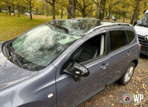 Unfall auf der B270 bei Gelterswoog