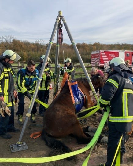Feuerwehr Bochum rettet Pferd