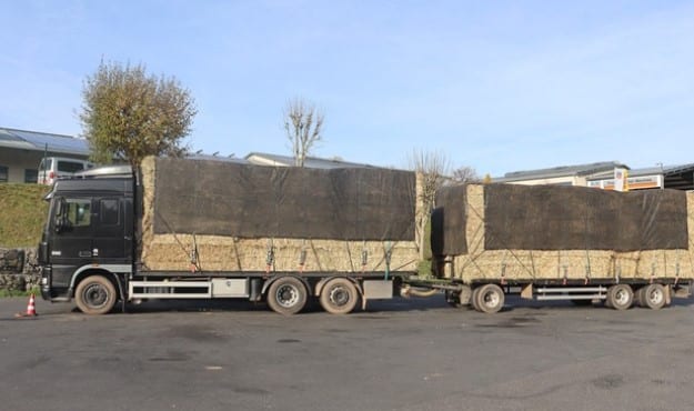 illegale Abfallverbringung