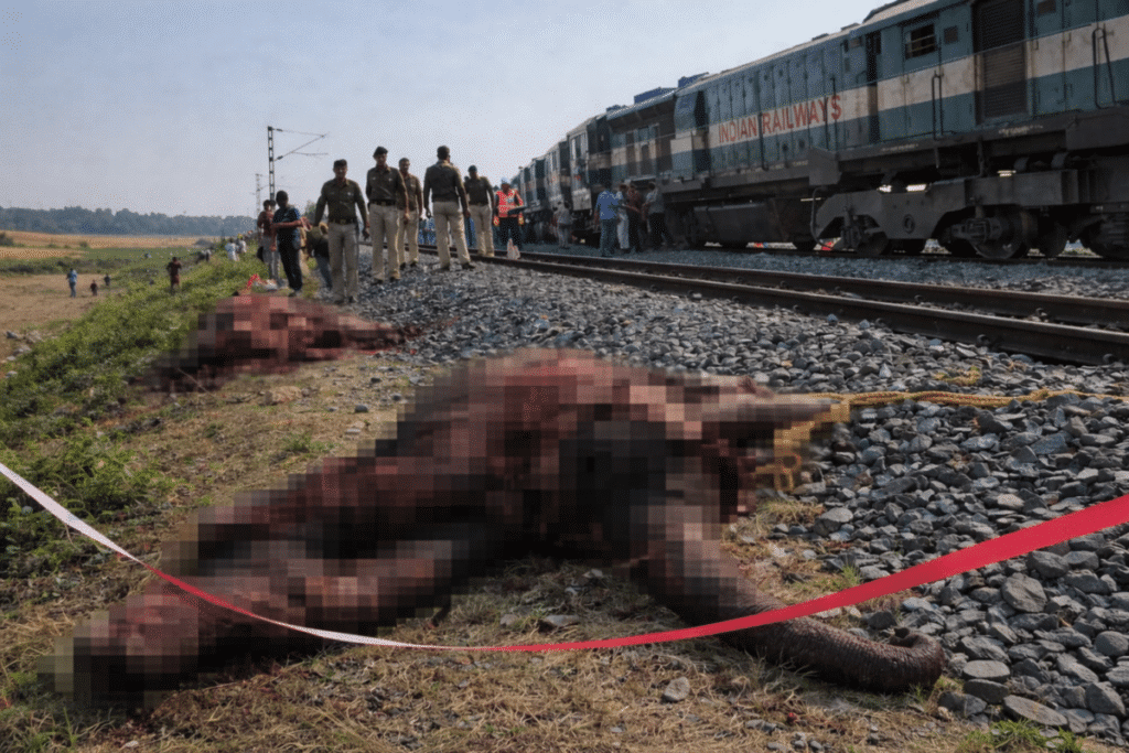 Elefanten überfahren