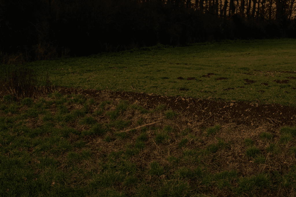 Polizei sucht weiter Kopf und Tatwerkzeug nach Leichenfund