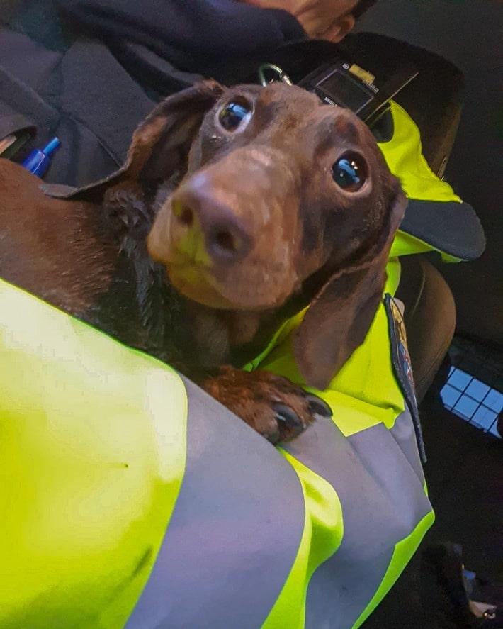 Unfall auf der A5 bei Pohlheim