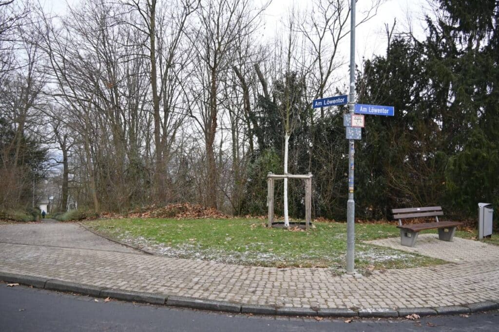 Gehölzpflege am Löwentor