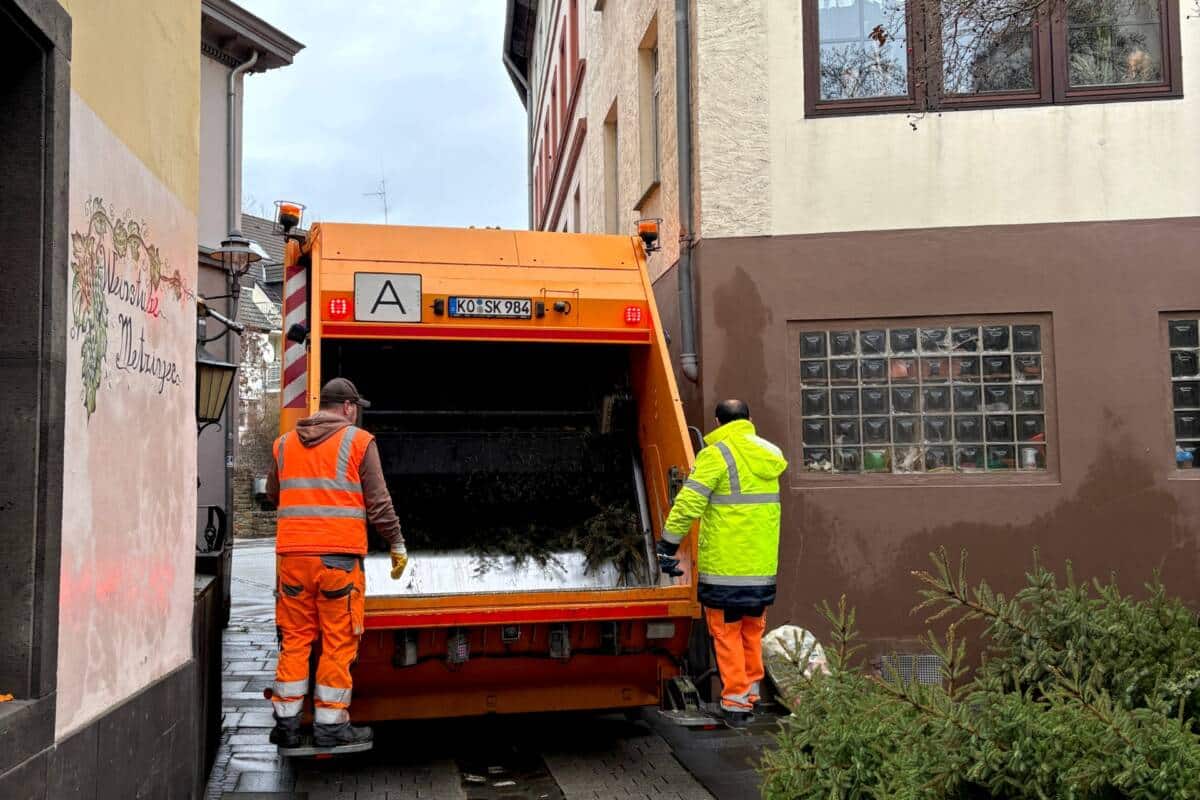 Weihnachtsbaum Abfuhr, Koblenz, Kompostierung, Servicebetrieb Koblenz, Entsorgung Weihnachtsbaum