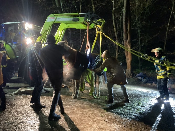 Feuerwehr Bochum Pferderettung