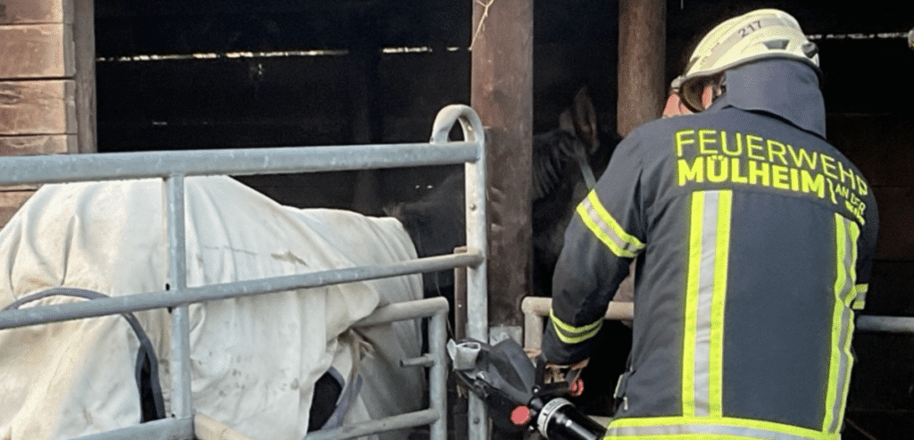 Bildschirmfoto 2026-02-05 um 16.26.25