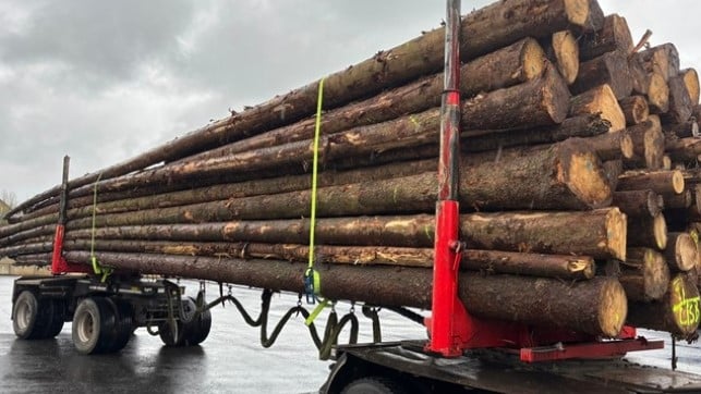 überladener Langholztransport bei Olzheim