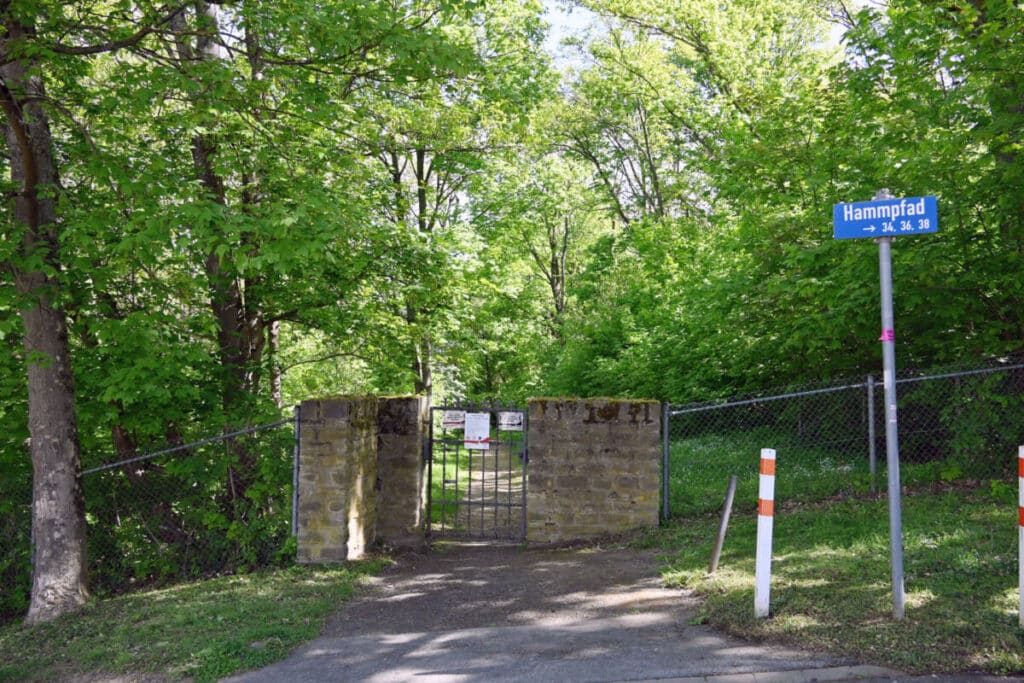 Wildschweine Hauptfriedhof