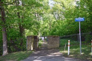 Koblenz: Wildschweine verwüsten Hauptfriedhof – Stadt bittet dringend um Mithilfe